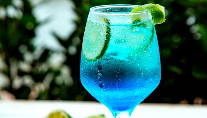 Você está visualizando atualmente Bombay Sapphire Gin e Tônica um Drink dos Céus! Conheça esta Receita Exclusiva!