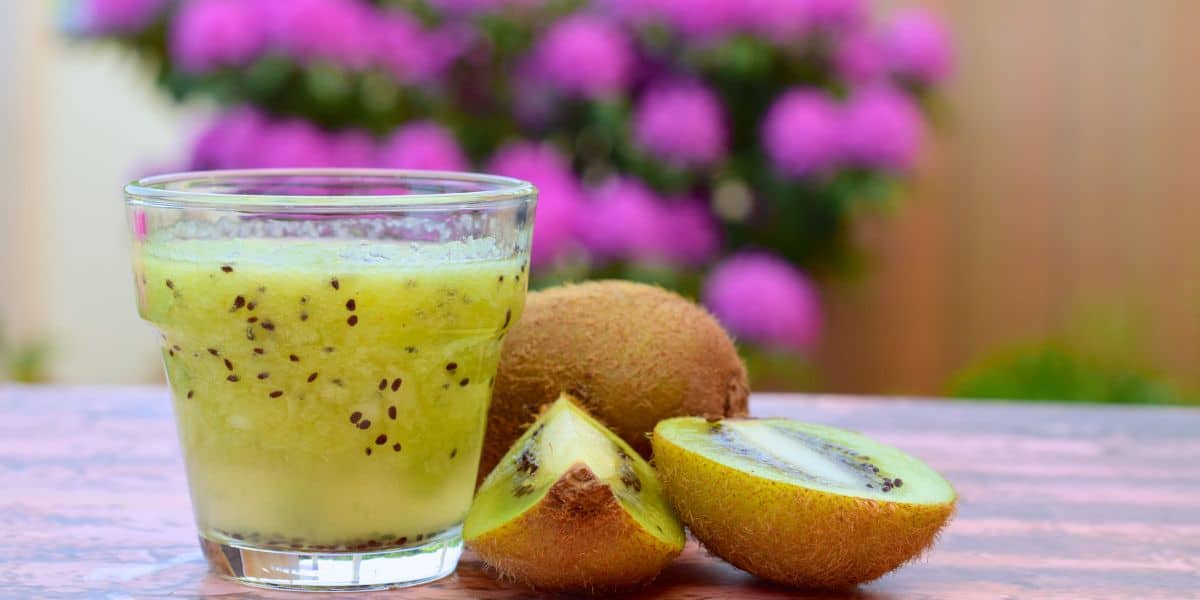 Leia mais sobre o artigo Receita de suco de kiwi saboroso e refrescante para toda família aproveitar