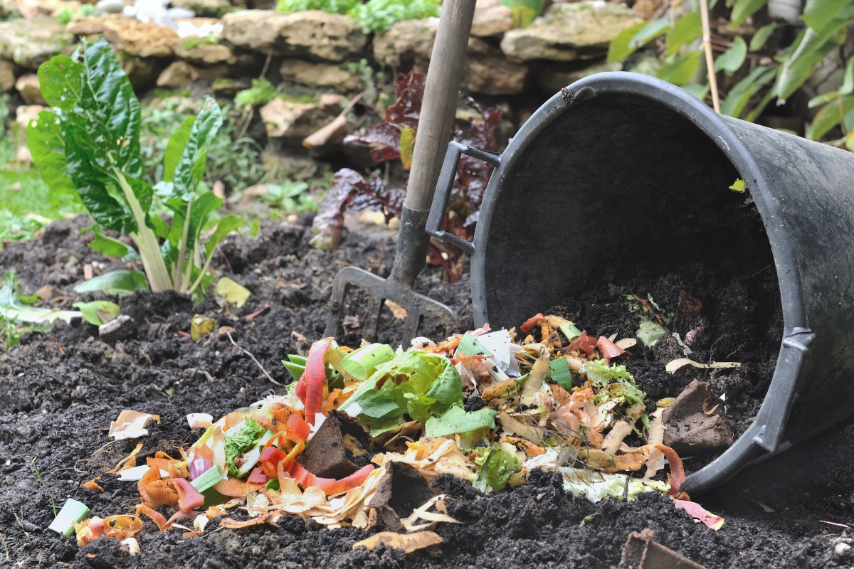 Você está visualizando atualmente Como fazer adubo caseiro com casca de legumes de forma fácil e deixar seu jardim mais belo