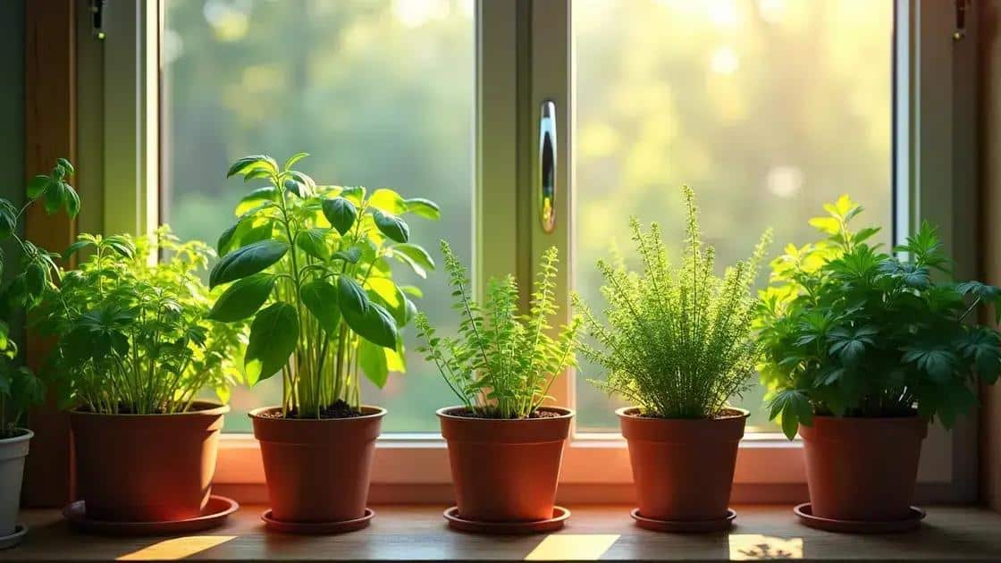 como cultivar temperos em vasos pequenos