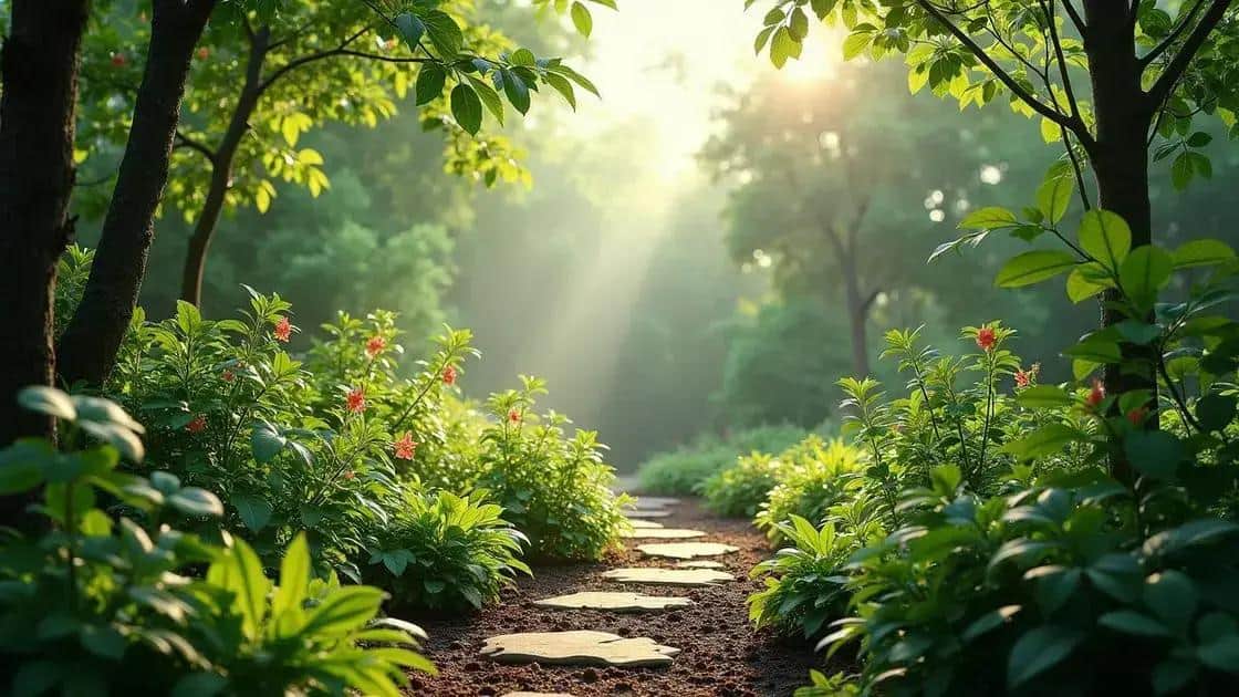 Dicas de cuidados para um jardim saudável