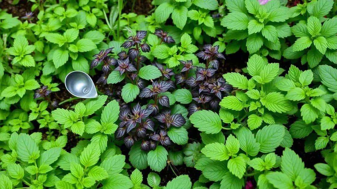 Cuidados essenciais para manter a horta saudável
