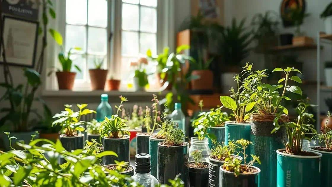 bercario de sementes como montar um sistema profissional com materiais reciclados