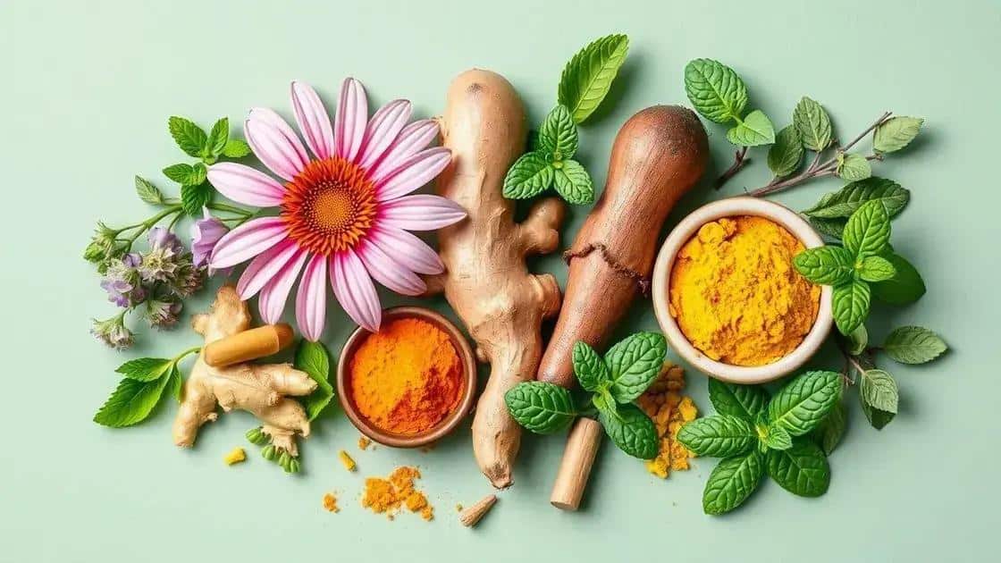 Benefícios das plantas para fortalecer o sistema imunológico