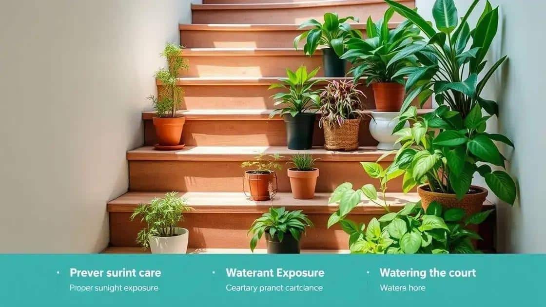 Cuidados essenciais para plantas em escadas