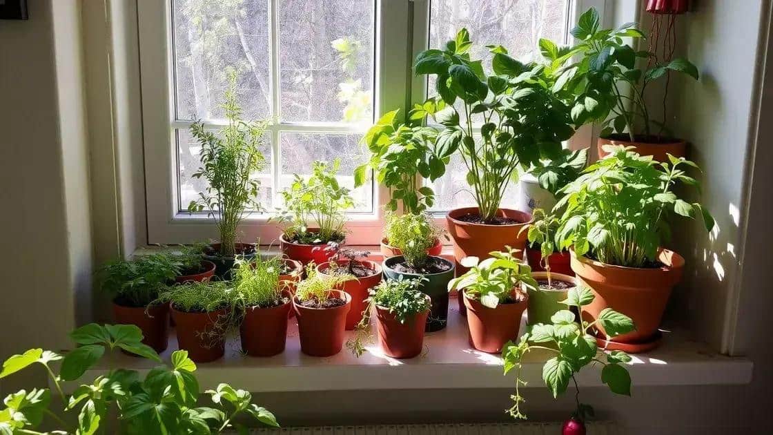 o que considerar ao montar uma horta em apartamento