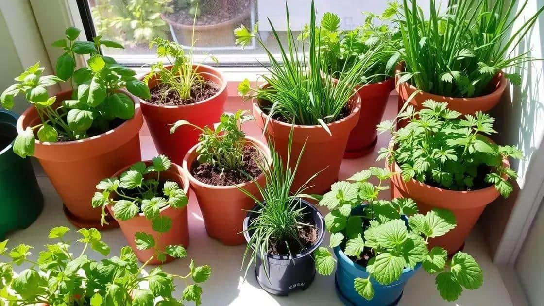 melhores plantas para horta interna