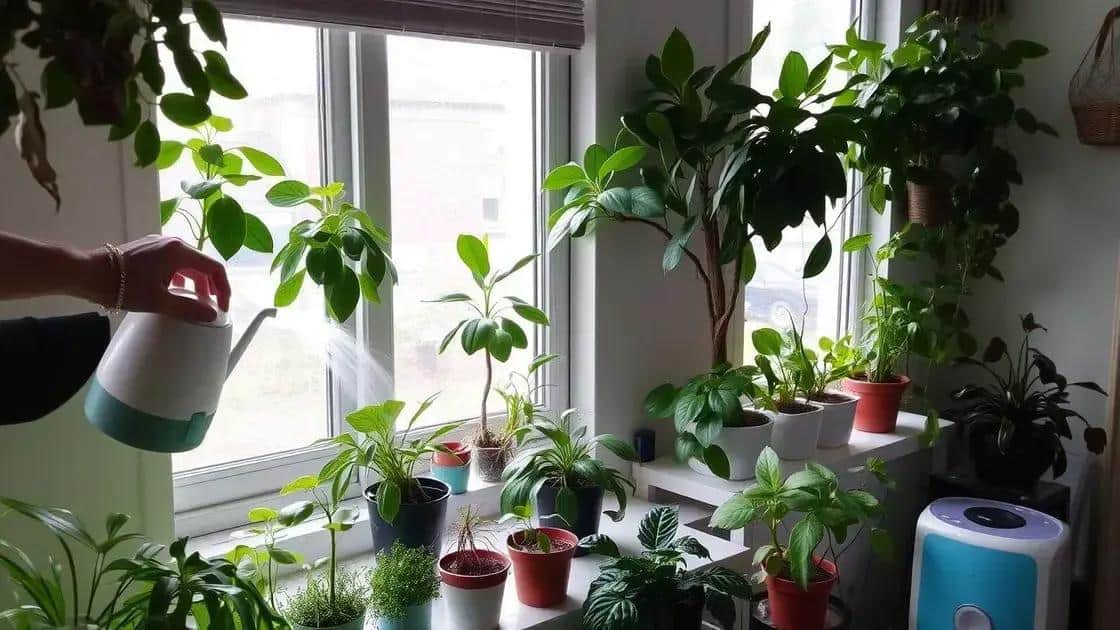 como cuidar das plantas dentro de casa
